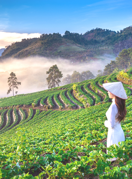 Vietnam 15th internet card (2GB per day)