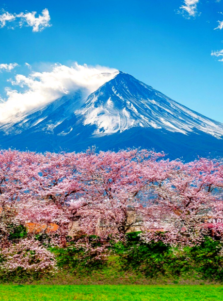 Japan 15-Day Voice/Data SIM (15GB)(includes exclusive offers)